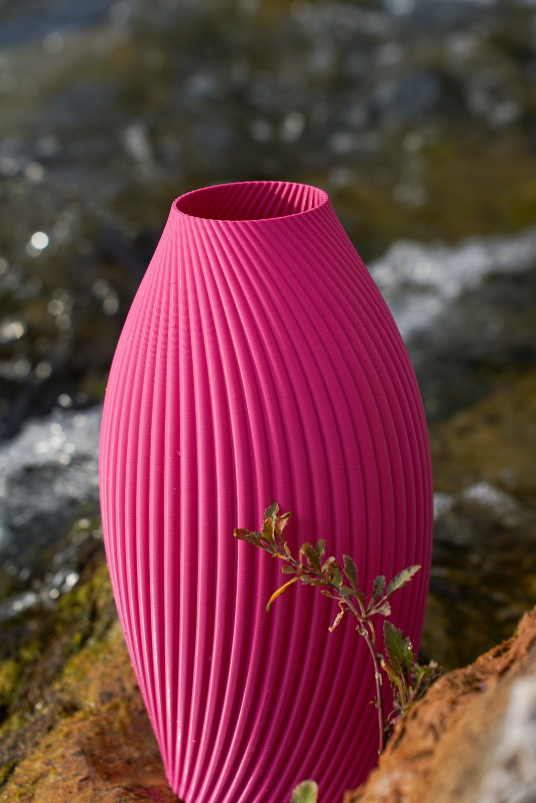 Vaso Spira Magenta con un rametto