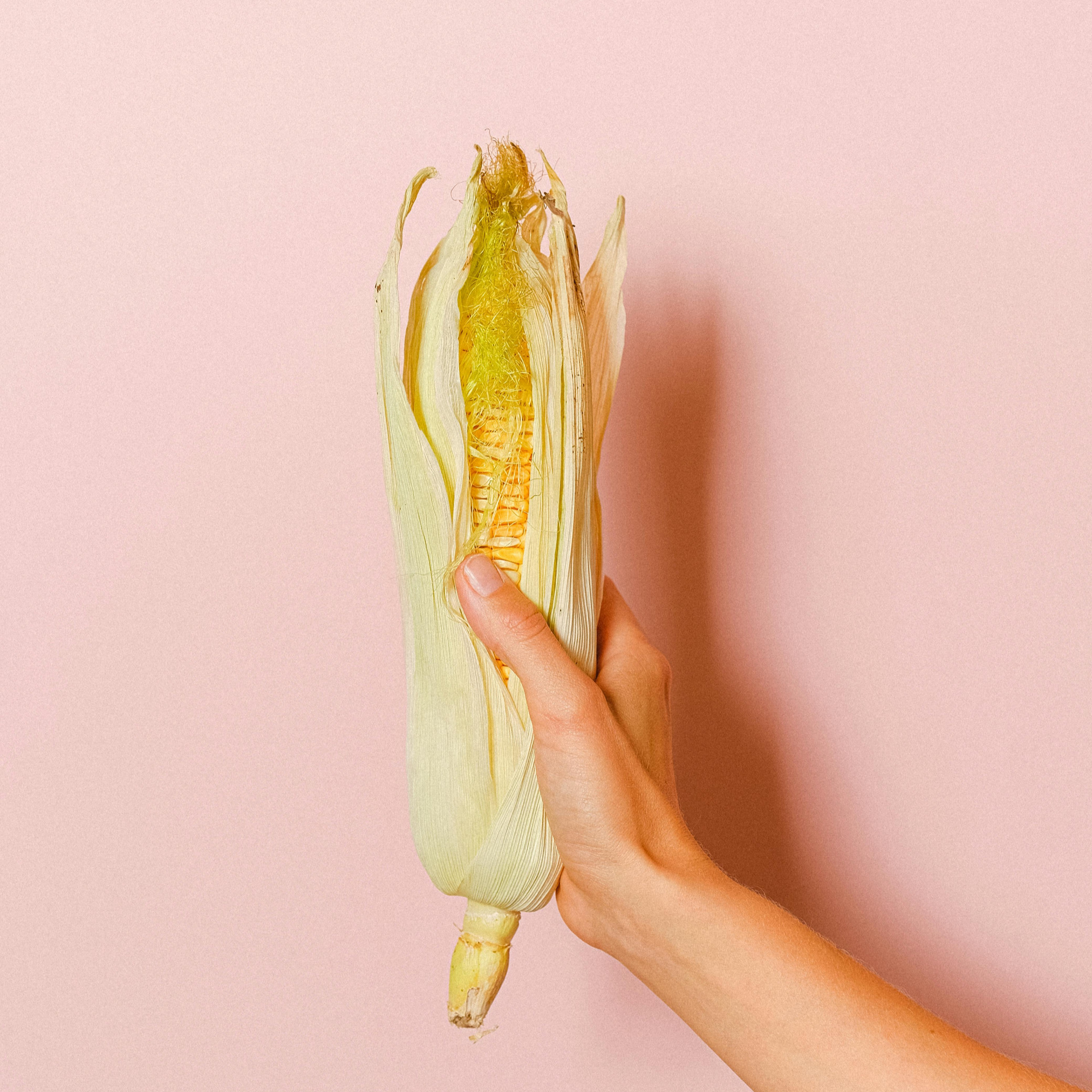 Pannocchia di mais — materia prima del bioplastico PLA